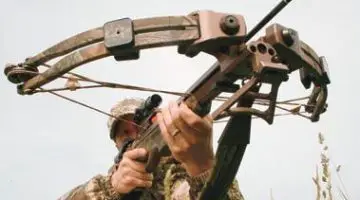 Crossbow Deer Hunting - The 8 Best Tips & Tactics for Success