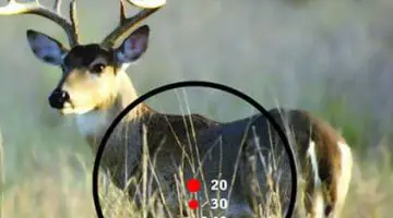 How to Sight in a Crossbow Scope